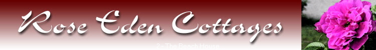 2 - The Beach House